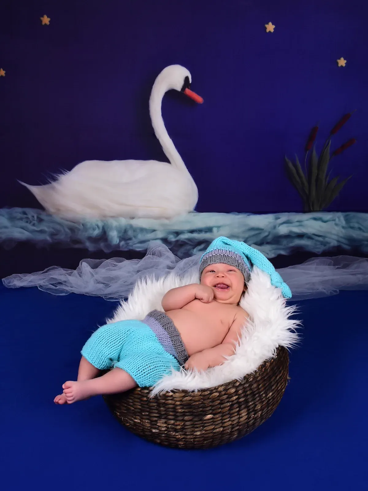 Sesión bebés en Studio Viveca, foto 6